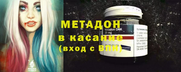 индика Абаза