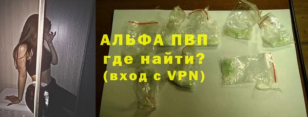 индика Абаза