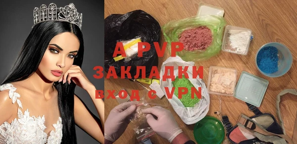 индика Абаза