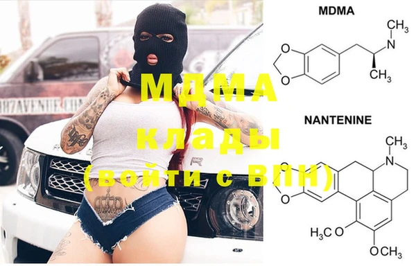 индика Абаза