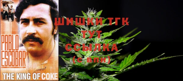 первитин Абинск