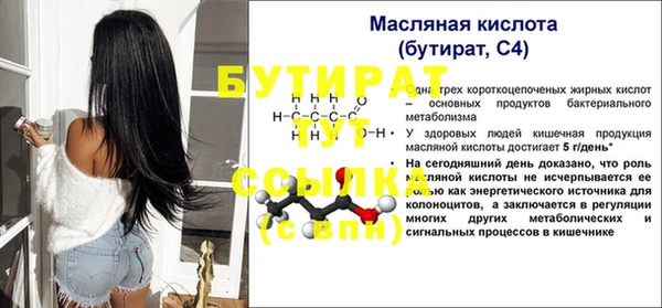 индика Абаза