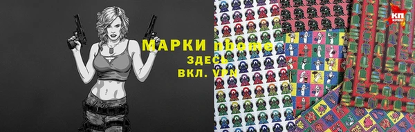 индика Абаза